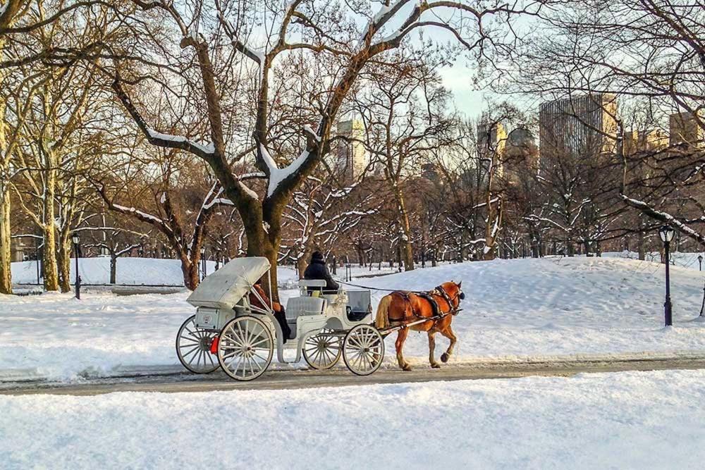 Upper East Side Manhattan Appartement New York